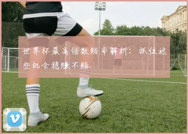世界杯最高倍数赔率解析：抓住这些机会稳赚不赔