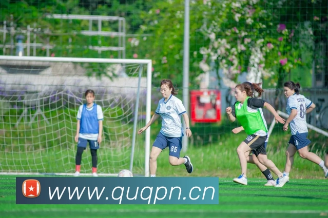 半岛网页版登录入口发展历程